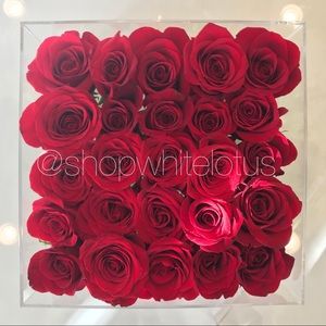 ••• NEWS & UPDATES •••